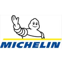 Michelin Tires icon