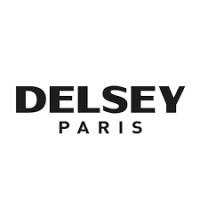 Delsey  icon