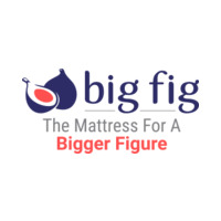 Big Fig Mattress icon