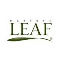Eastern Leaf icon