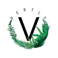 Vertly icon