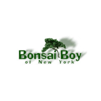 Bonsai Boy of New York icon