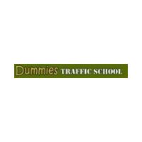 Dummies Traffic School icon
