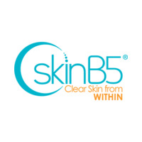 SkinB5 icon