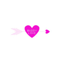 BuddyLove icon