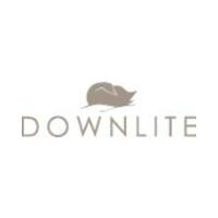 Down Lite icon