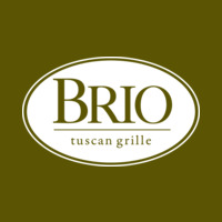 BRIO icon