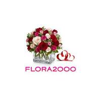 Flora2000 icon