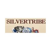 Silver Tribe icon
