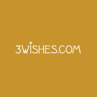3 Wishes Lingerie icon