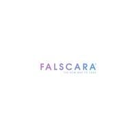 Falscara icon