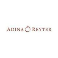 Adina Reyter icon