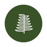Jackfir icon