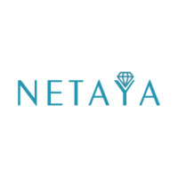 Netaya icon