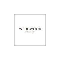 Wedgwood icon
