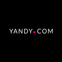 Yandy icon