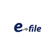 E-file icon
