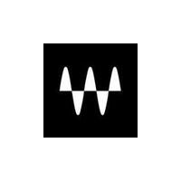 Waves Audio icon