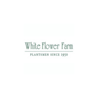 White Flower Farm icon
