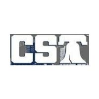 Cheesesteaktees icon