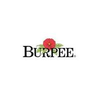 Burpee icon