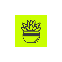 Succulent Studios icon