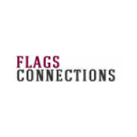 Flags Connections icon