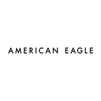 American Eagle icon