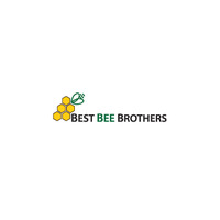 Best Bee Brothers icon