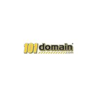 101domain icon
