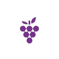 The Wine Collective icon