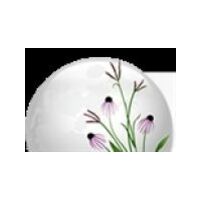 Prairie Moon Nursery icon