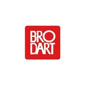 Bro Dart icon