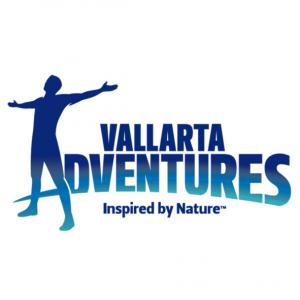 Vallarta icon