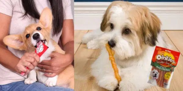 Free Hartz Dog Treats logo