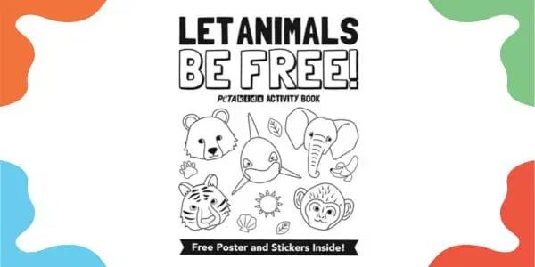Free Activity Book with a Poster & Stickers logo