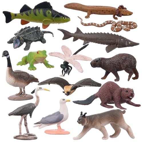 AENIMELY 14PCS Lake Animal Figurines – Realistic Canadian Wildlife Toys for Kids – North American Animal Models for STEM Learning, Cake Toppers, Science Projects, Educational Gifts ProductsLogo