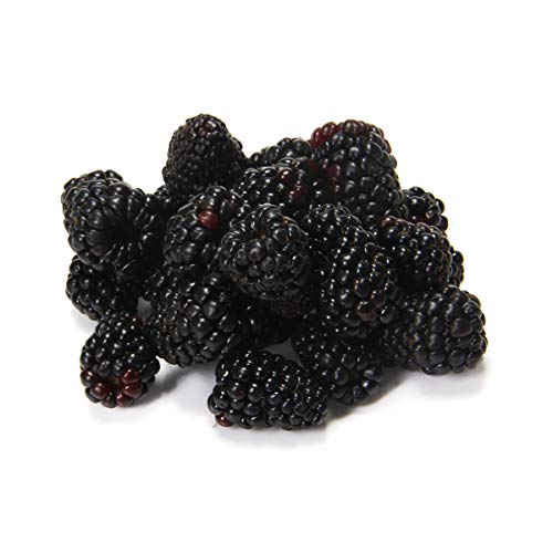 Organic Blackberries, 6 oz ProductsLogo