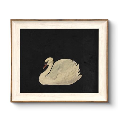 VIYYIEA Framed Wall Art for Living Room, Swan Art Canvas Prints, Vintage Home Decor, Animals Painting Picture, Bathroom Wall Decor Gifts for Friends or Family - 12L x 10W ProductsLogo
