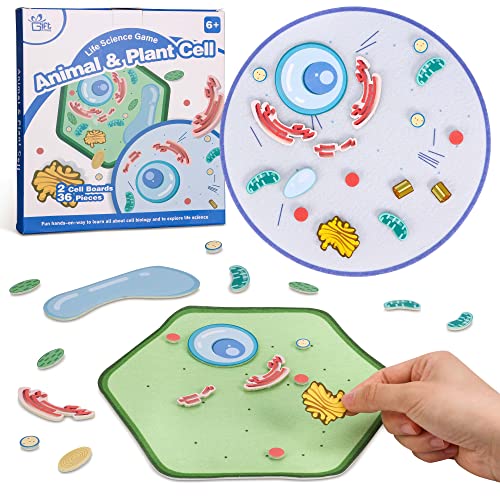 GiftAmaz Animal and Plant Cell Anatomy Model, Soft Felt Toy, Early Cell Biology and Life Science STEM Toys, Classroom Teaching Aid, Educational Learning Activities STEM Birthday Toys for Kids 6+ ProductsLogo