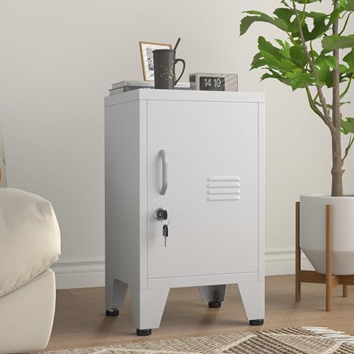 PAOFIN 24.4" H Metal Locker Storage Cabinet with 1 Doors, Pantry with Shelves, Storage Cabinet with Adjustable Leveling Foot for Kitchen, Employees, Office, Kids Locker ProductsLogo