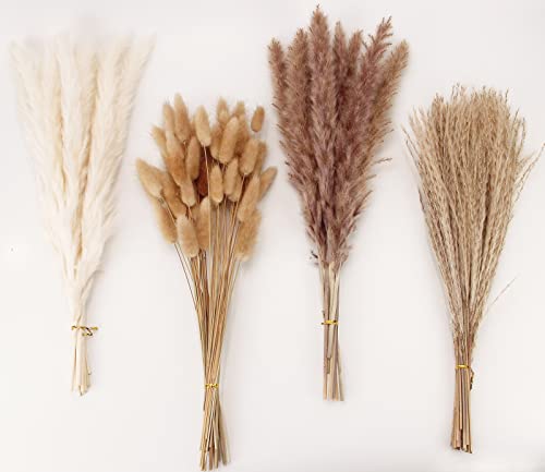 Dried Pampas Grass Decor, 100 Stems Pampas Grass Contains Bunny Tails Dried Flowers, Reed Grass Bouquet for Wedding Boho Flowers Home Table Decor, Rustic Farmhouse Party (17", White and Brown) ProductsLogo