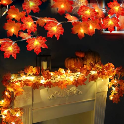 TURNMEON 2 Pack Fall Decor Enlarged Maples Leafed Lights Total 20Ft 40LED Thanksgiving Halloween Fall Decorations for Home,Battery Operated Autumn Garland Waterproof Indoor Outdoor Holiday Christmas ProductsLogo