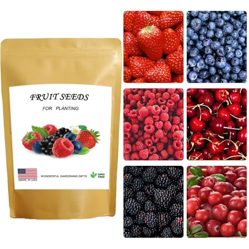 Breoudo 1200+ Mix Fruit Seeds, Berry Seeds - 6 Variety Non-GMO Heirloom Organic, Include Strawberry Seeds, Raspberry Seeds, Mulberry Seeds, Cranberry Seeds, Cherry Seeds, Blueberry Seeds ProductsLogo