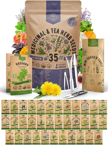 35 Medicinal & Tea Herb Seeds Variety Pack for Indoor & Outdoors. 16,335+ Non-GMO Heirloom Garden Seeds: Anise, Bergamot, Borage, Cilantro, Chamomile, Dandelion, Rosemary Seeds & More ProductsLogo