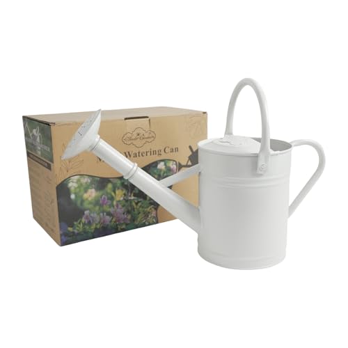 Annie Garden 1 Gallon Metal Watering Can for Indoor Plants Outdoor Plants, Large Water Can, Garden Water Can for Kids, Detachable, Water Can with Handle, White ProductsLogo