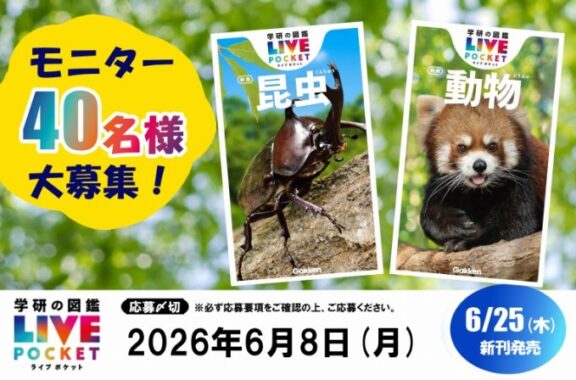 prize image
